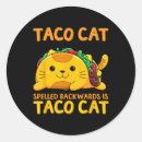 Search for taco cat stickers Pinata
