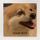 Search for dog picture puzzles For pets