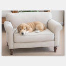 Search for sleep magnets Puppy