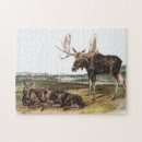 Search for moose puzzles Deer