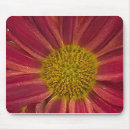 Search for chrysanthemums mousepads Garden
