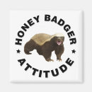 Search for honey badger magnets Funny
