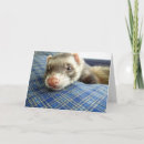 Search for funny face photo cards Pet