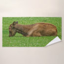 Search for brown and green bath towels Animal