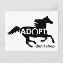 Search for love horses postcards Animal