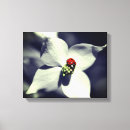Search for ladybug canvas prints Ladybird