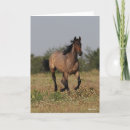 Search for horse cards Flowers