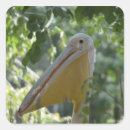 Search for state animal stickers Bird