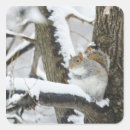 Search for low temperature stickers Outdoors