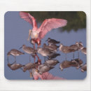 Search for public land mousepads Environment