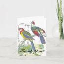 Search for perching cards Animal