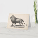 Search for lion sketch postcards Antique
