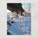 Search for cold weather postcards Trees