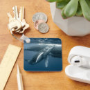 Search for whale key rings Underwater