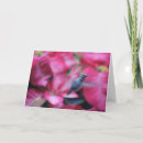Search for hummingbird christmas cards Birding