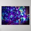 Search for purple blue orchid art Floral