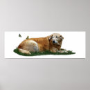 Search for mixed breed posters Dog
