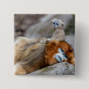 Search for monkey badges Primate