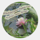 Search for pink lily stickers Flower
