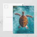 Search for nautical postcards Maritime