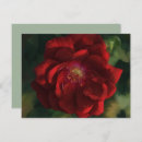 Search for rose note cards Red