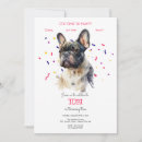 Search for french bulldog invitations Dogs