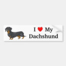 Search for i love my dachshund bumper stickers Dogs
