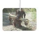Search for dachshund car air fresheners Pet