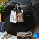 Search for pet luggage tags Modern