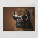 Search for photography business postcards Dogs