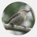 Search for nuthatch stickers Animals