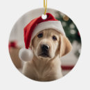 Search for labrador retriever christmas tree decorations Puppy