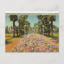 Search for beverly hills postcards Flowers