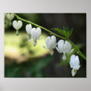 Search for bleeding posters Floral