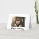 Search for cheeky monkey cards Humour