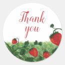 Search for field stickers Summer