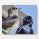 Search for birdwatcher electronics Nature
