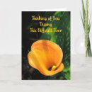 Search for thinking of you sympathy cards Orange