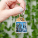 Search for sequoia national park key rings Redwood tree