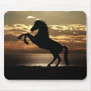 Search for equine silhouette mousepads Animal