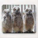 Search for hoot mousepads Owls