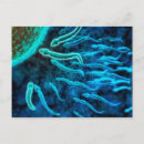 Search for sperm postcards Biology