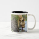 Search for female lion mugs Wildlife