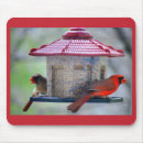 Search for feeder mousepads Cardinal