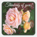 Search for thinking of you rose stickers Summer roses