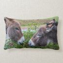 Search for donkey cushions Farm