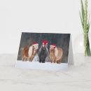 Search for pony christmas cards Animals
