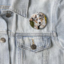 Search for australian shepherd accessories Canine