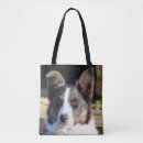 Search for border collie bags Working dog