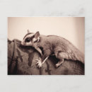 Search for gliders postcards Animal